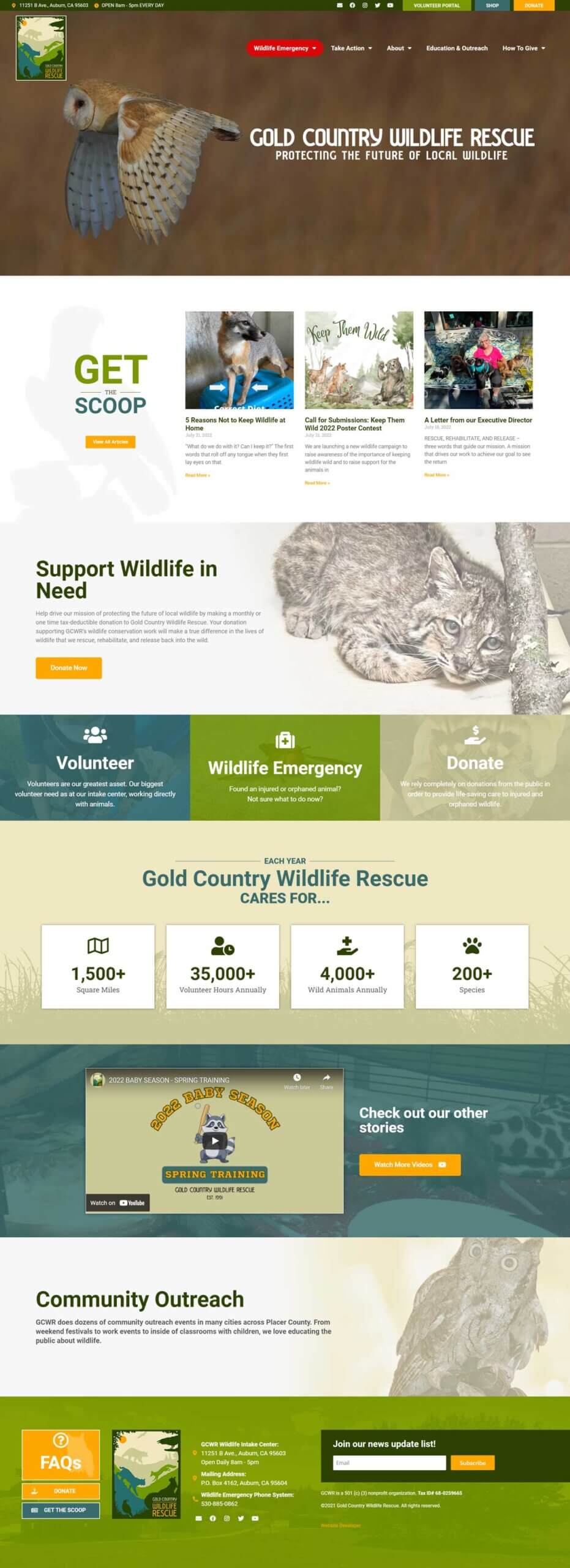 non profit website design